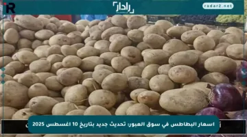 أسعار البطاطس في سوق العبور: تحديث جديد بتاريخ 10 أغسطس 2025
